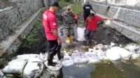 IMG-20251103-WA0083