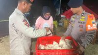 IMG-20260822-WA0020