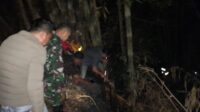 IMG-20260916-WA0035