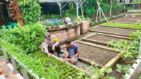 IMG-20261008-WA0007